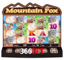 366bet
